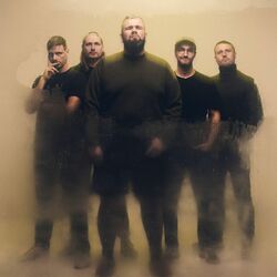 Picture of Feine Sahne Fischfilet