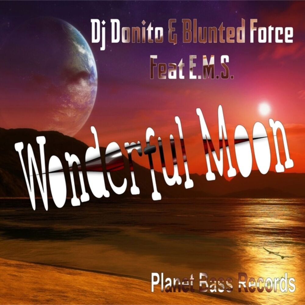Picture of Blunted Force Project