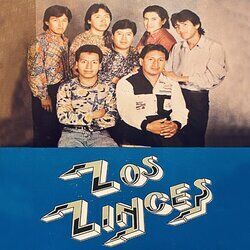Picture of Linces de Bolivia
