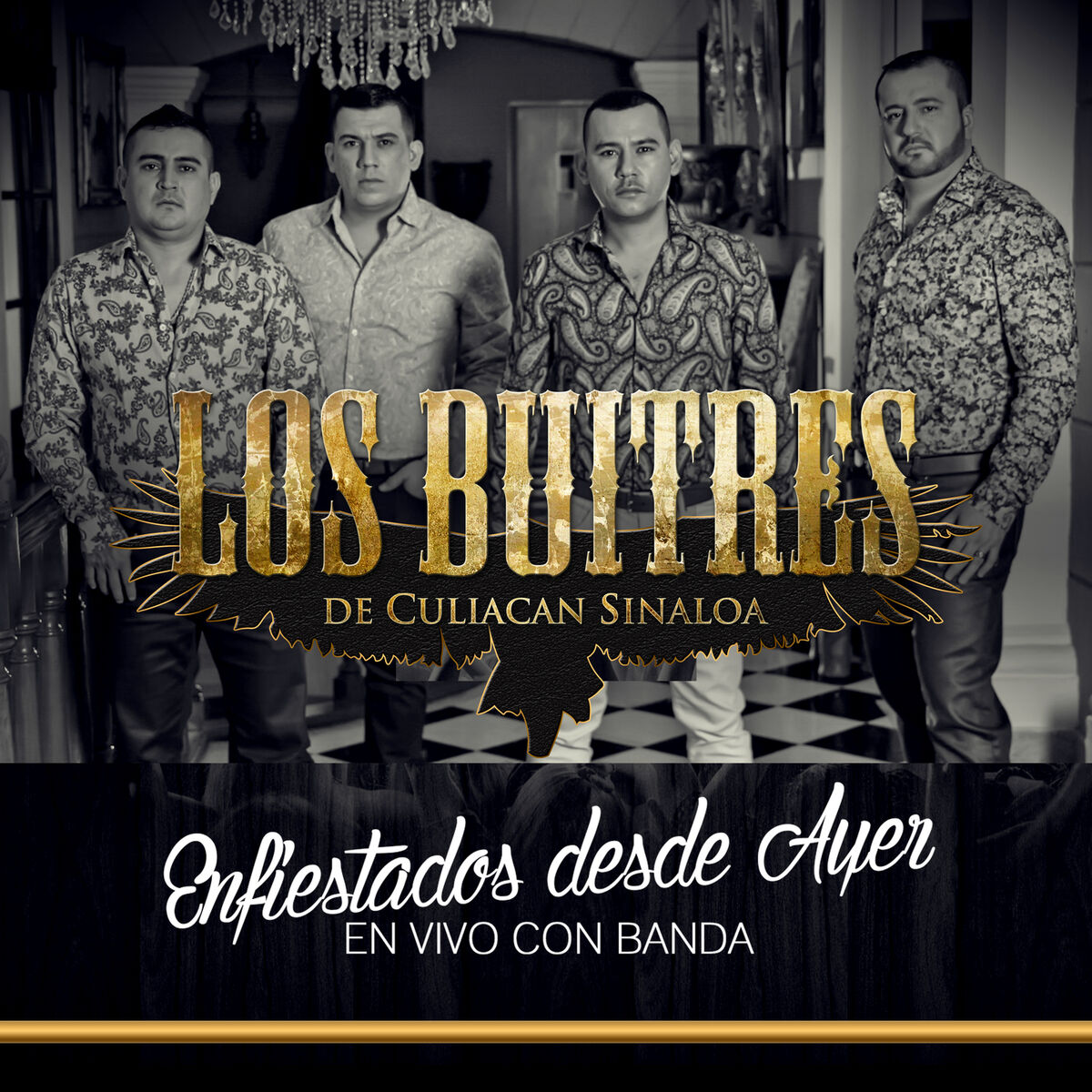 Los Buitres De Culiacan Sinaloa