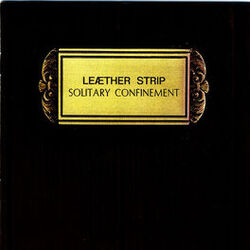 Picture of Le­æther Strip