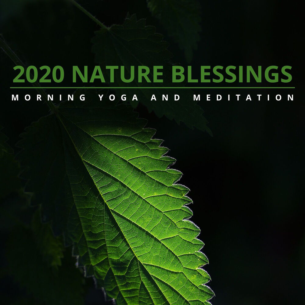 Picture of Zen Healing Melodies