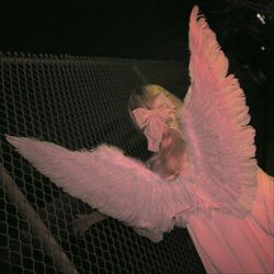 Picture of Soft Siren