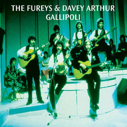 Picture of The Fureys