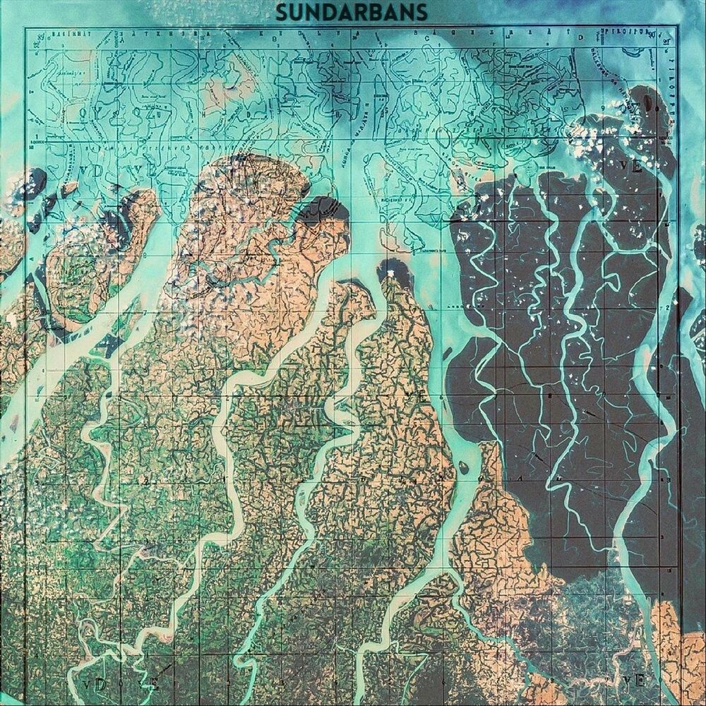 Picture of Sundarbans