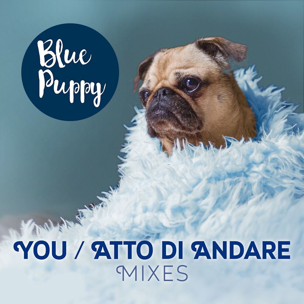 Picture of Blue Puppy