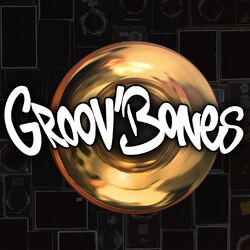 Picture of Groov Bones