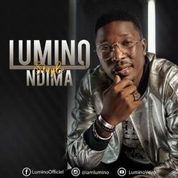 Picture of Lumino