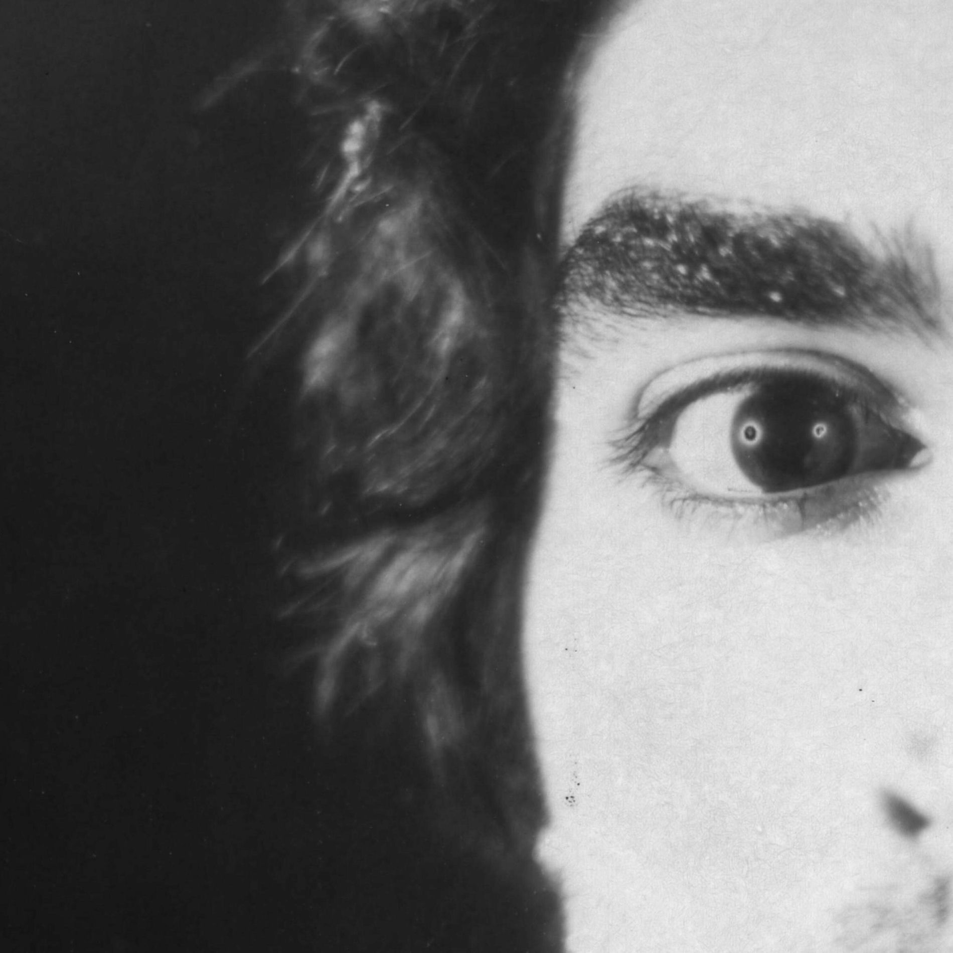 Danny Knutelsky
