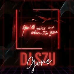 Picture of Dj Szu