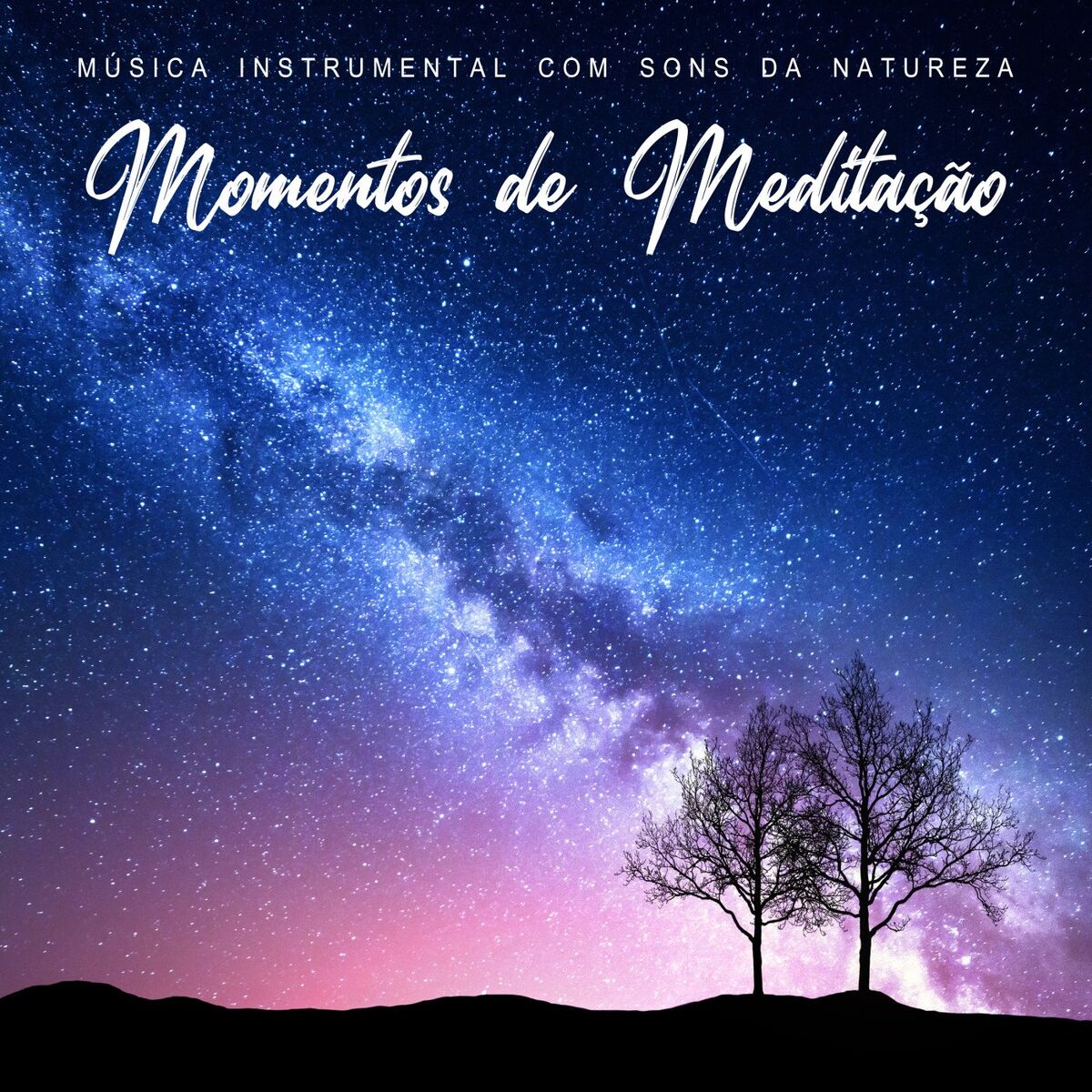 Meditación Maestro