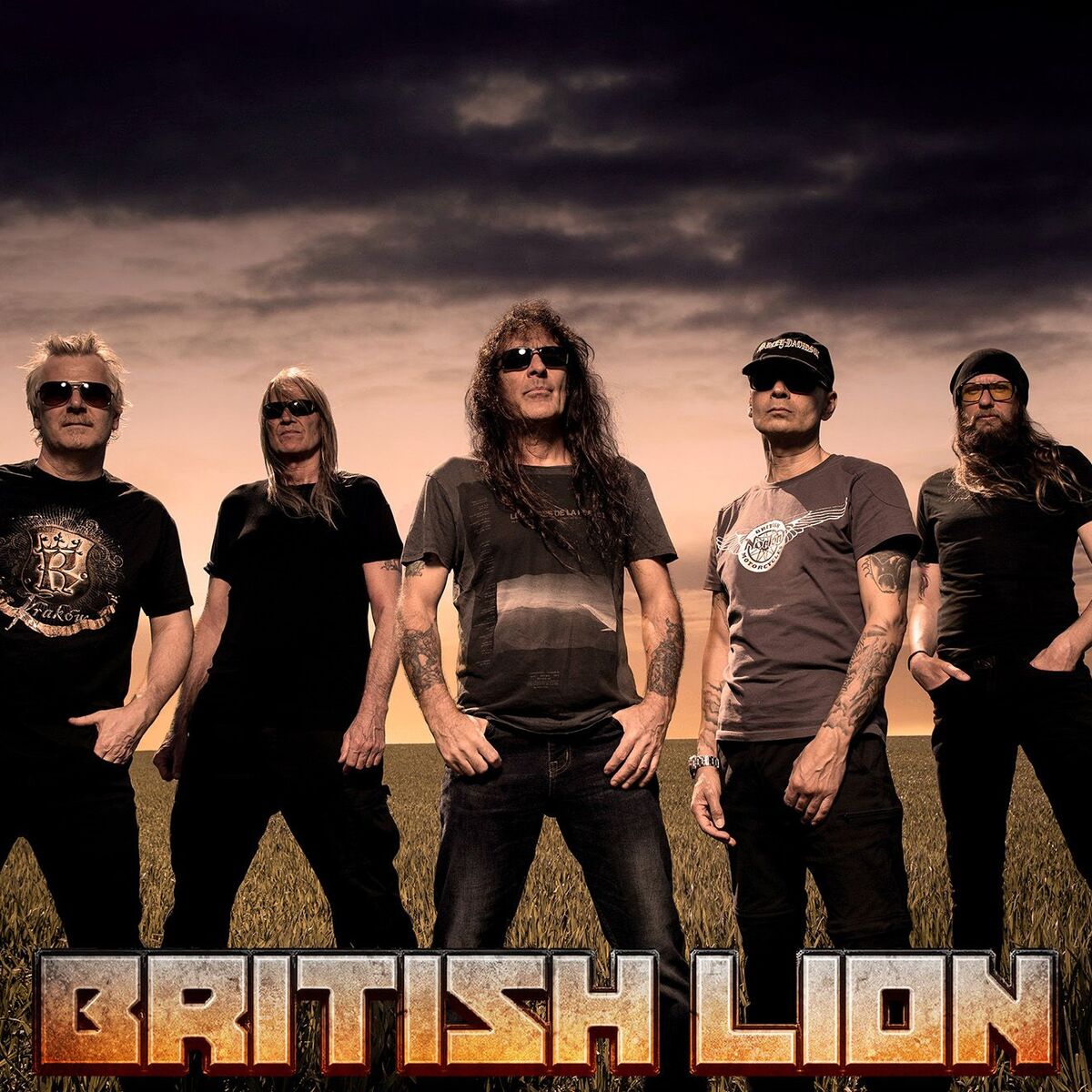 Artist picture of British Lion