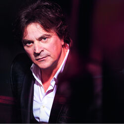 Picture of Alen Islamović