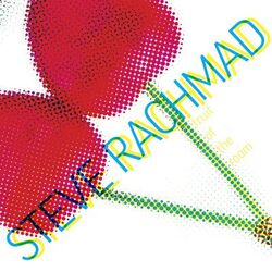 Picture of Steve Rachmad