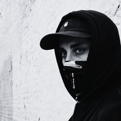 Picture of Hidden Face