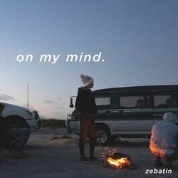 Picture of Zebatin