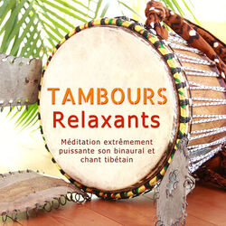 Picture of Tambours Méditation
