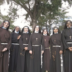 Picture of Toca de Assis