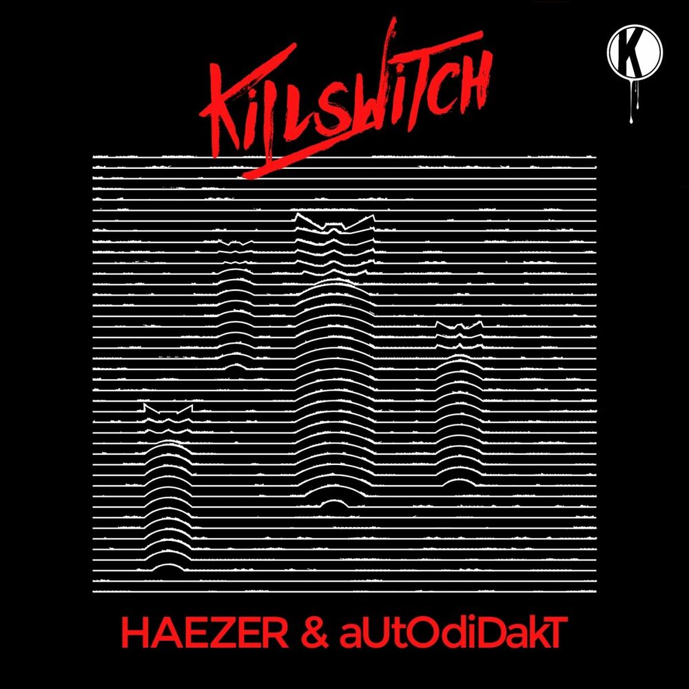 Picture of HAEZER x aUtOdiDakT
