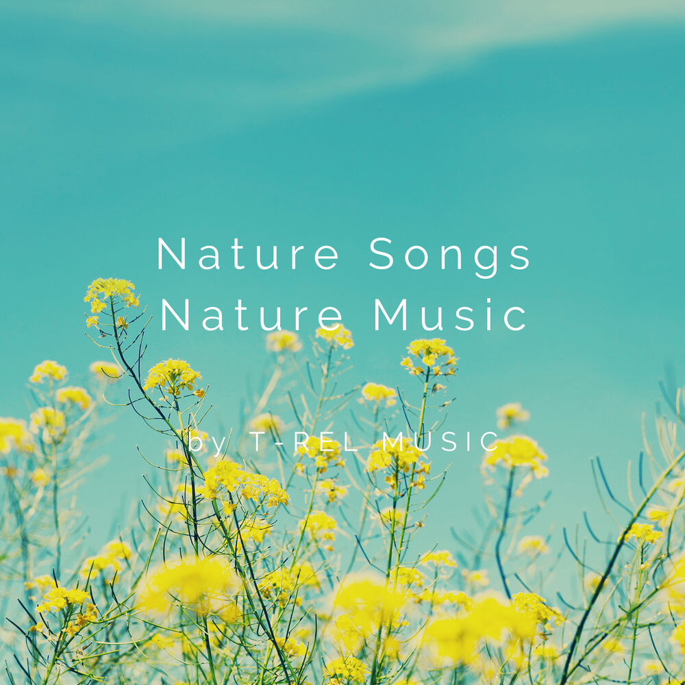 Picture of Nature Songs Nature Music