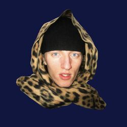 Picture of Sed