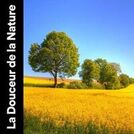 Musique Coeur de la Nature