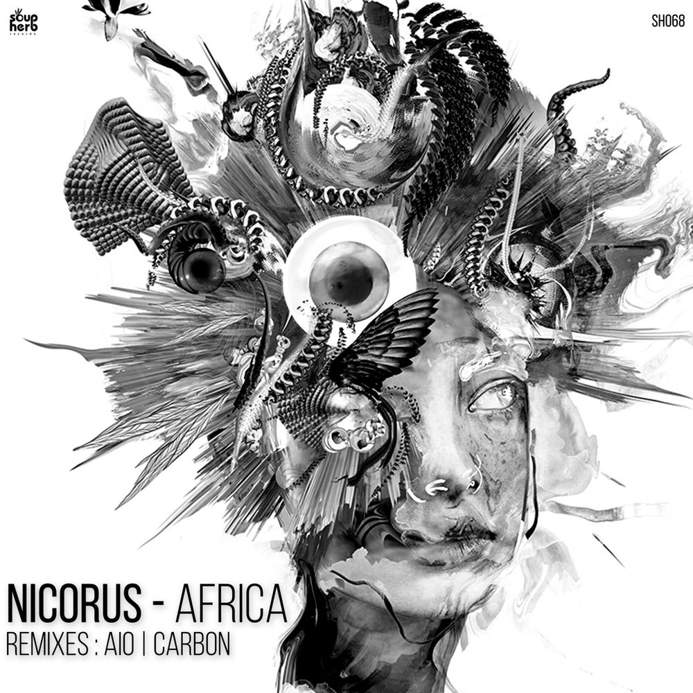 Nicorus