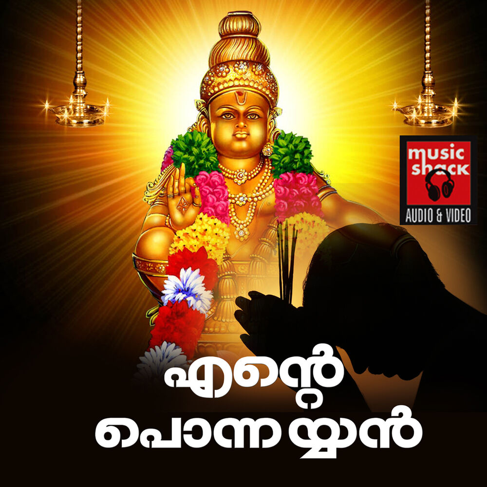 Picture of Narayan Krishna