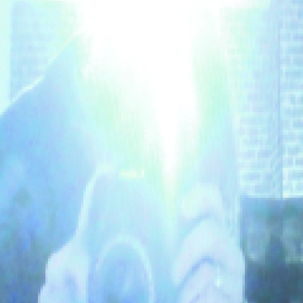 Picture of Rodz