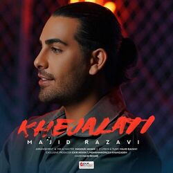Picture of Majid Razavi