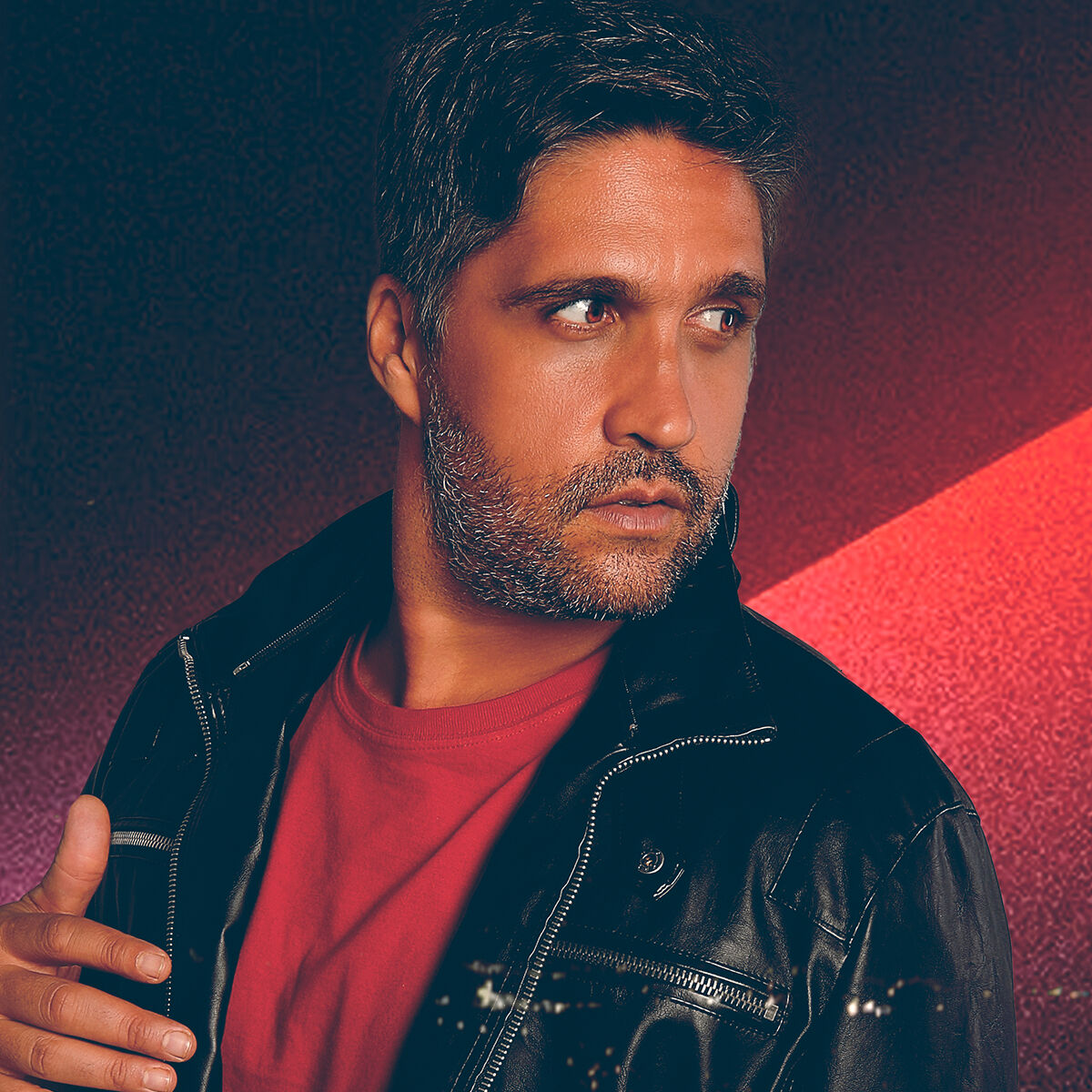 Artist picture of Leo Chaves