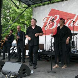 Picture of Roomful Of Blues