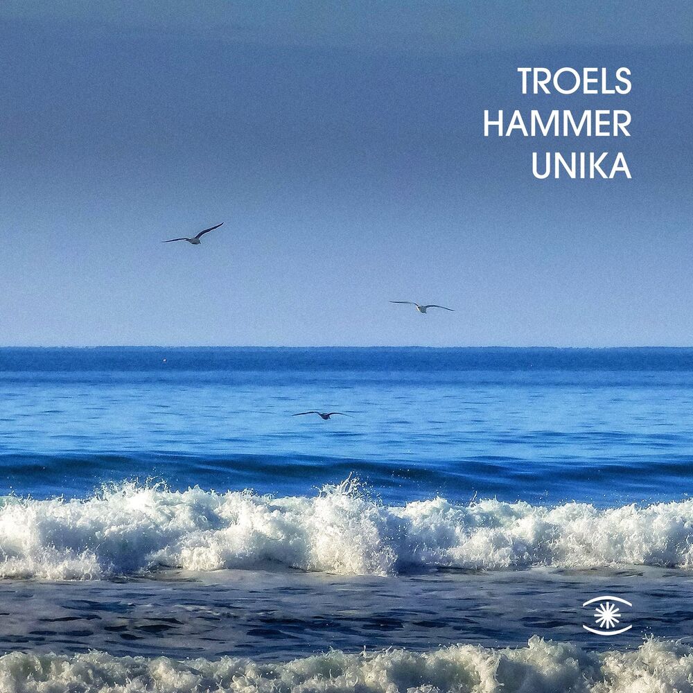 Picture of Troels Hammer