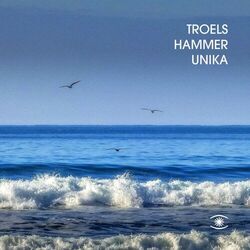 Picture of Troels Hammer