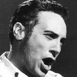 Picture of Mario Del Monaco