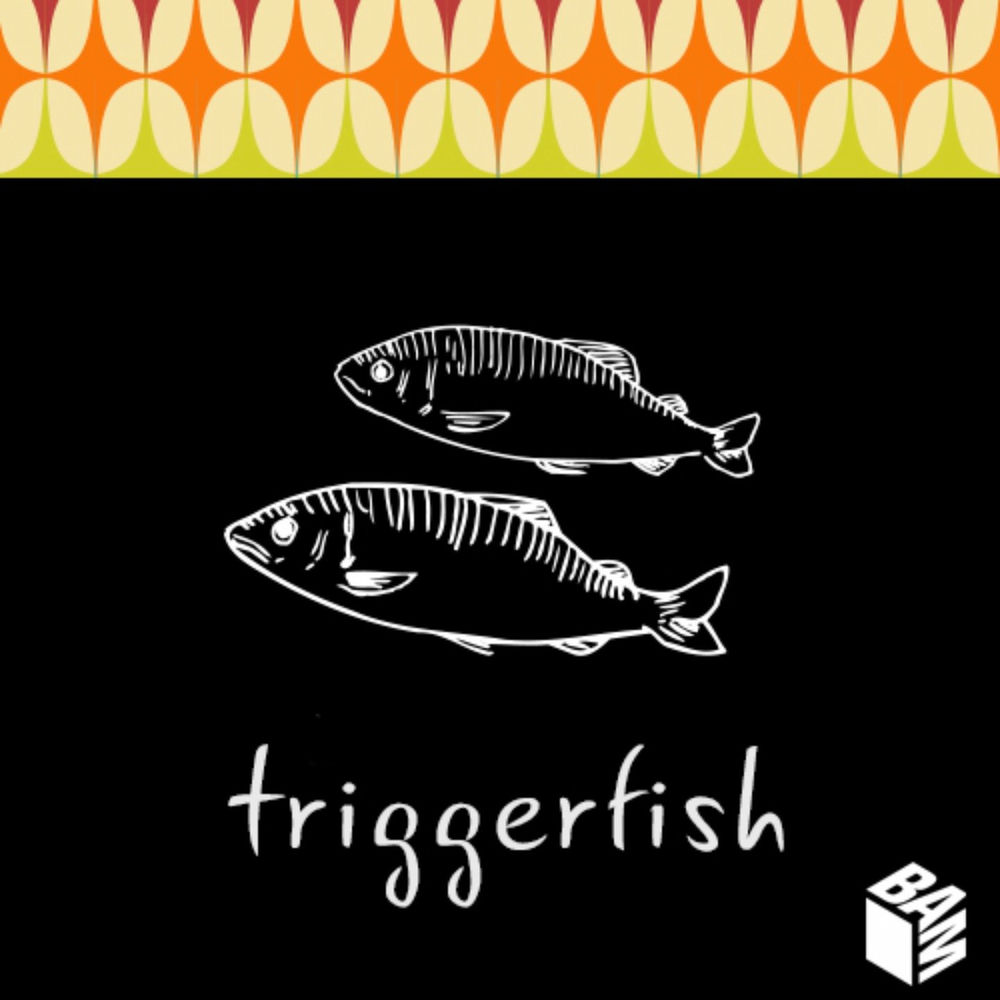 Photo de l'artiste TRIGGERFISH