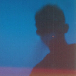 Picture of Damien Sebe