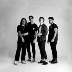 Picture of Young Rising Sons