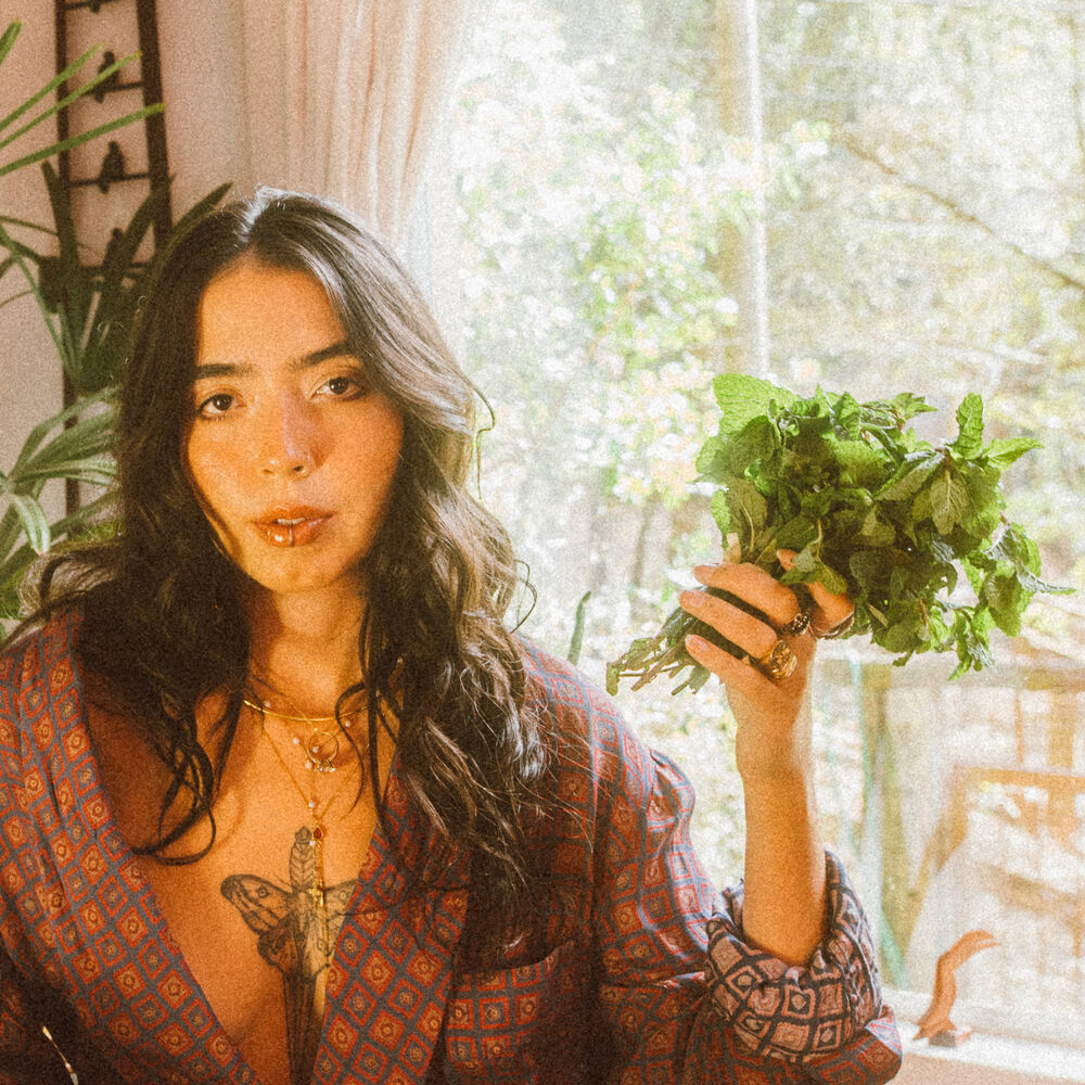 Picture of Bárbara Leão