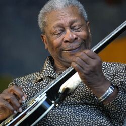 Picture of The BB King Blues Band