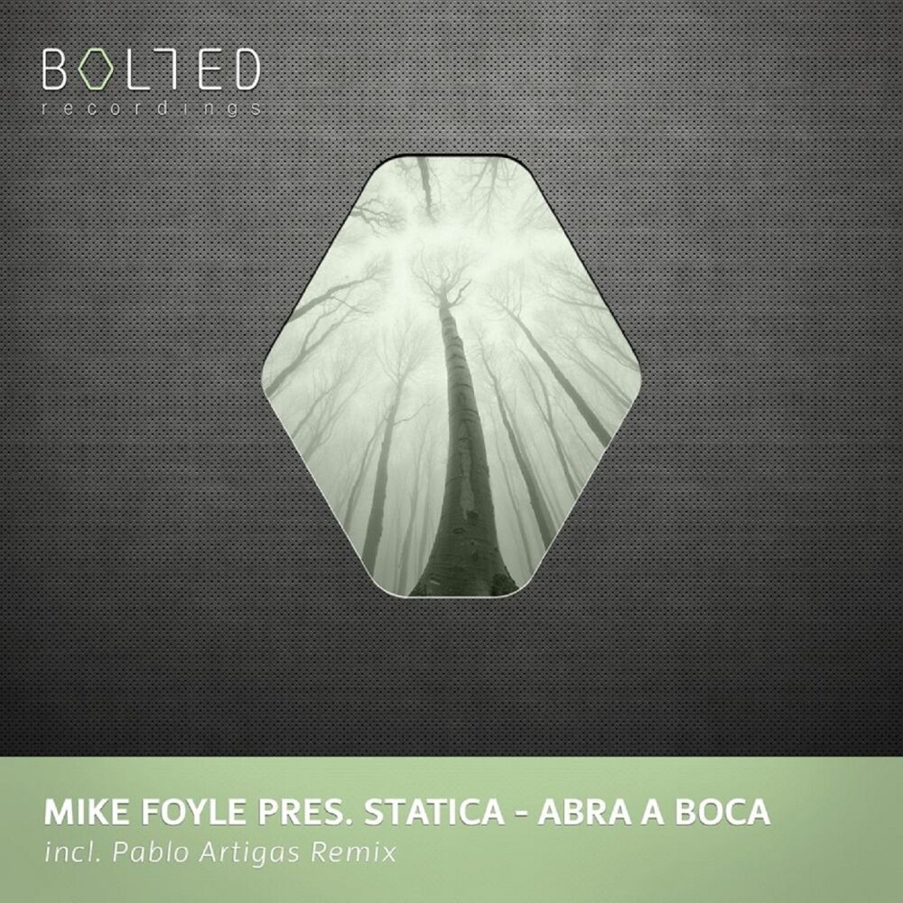 Picture of Statica