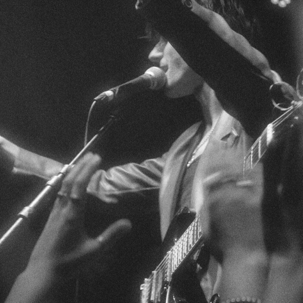 Picture of Foxtide