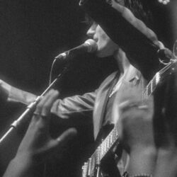 Picture of Foxtide