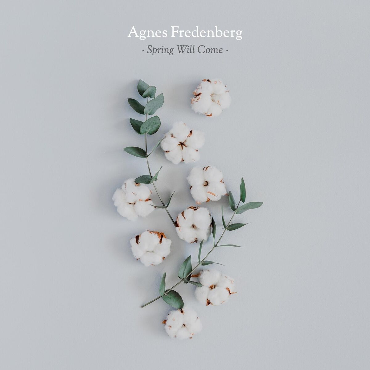 Agnes Fredenberg