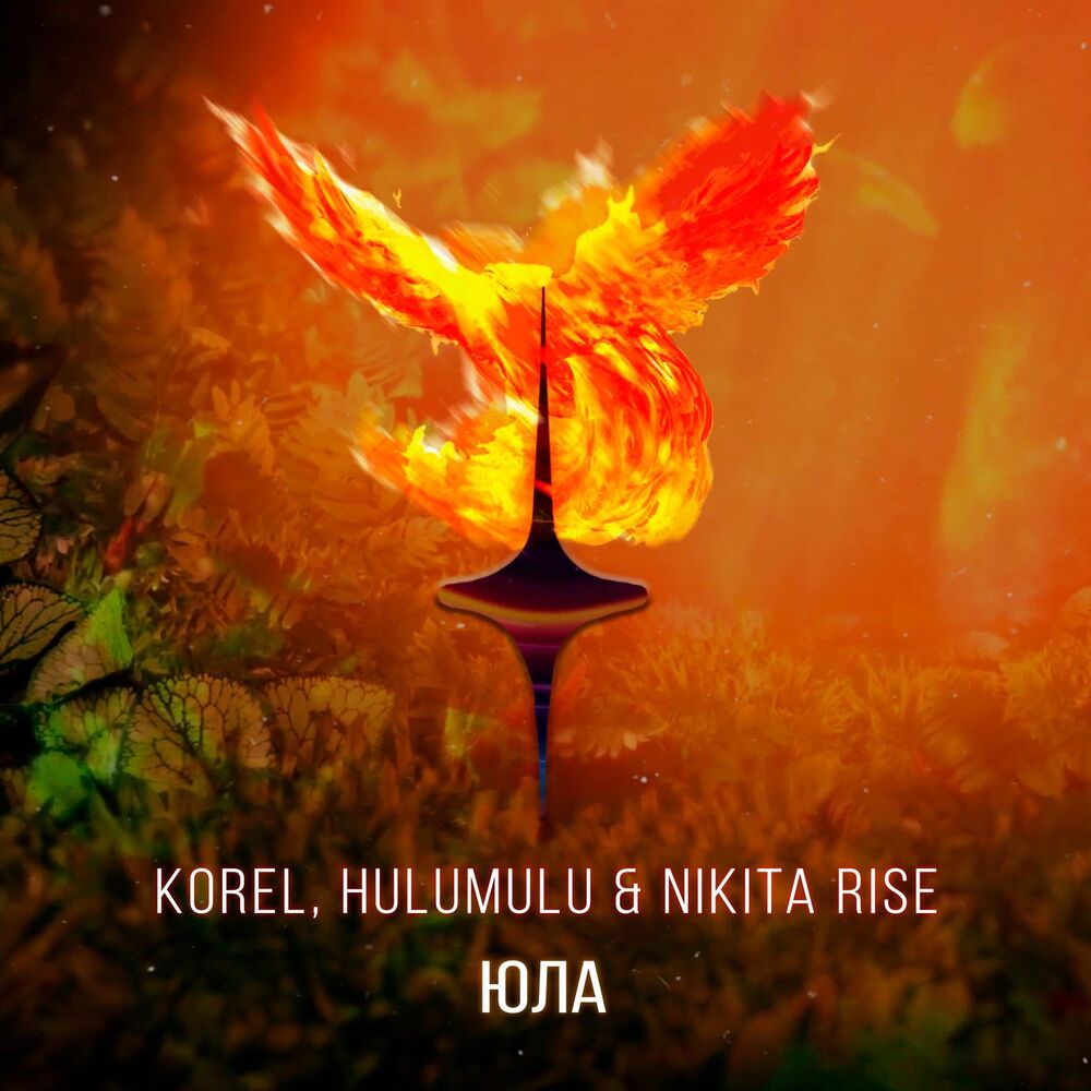 Picture of Nikita Rise