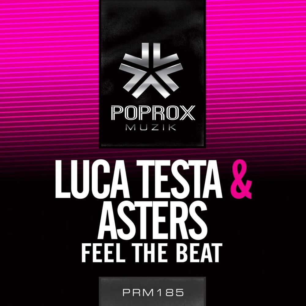 Picture of Luca Testa & Asters
