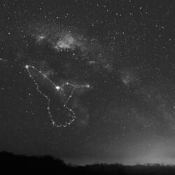 Picture of Random Movement