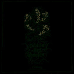 Picture of Cultes des Ghoules