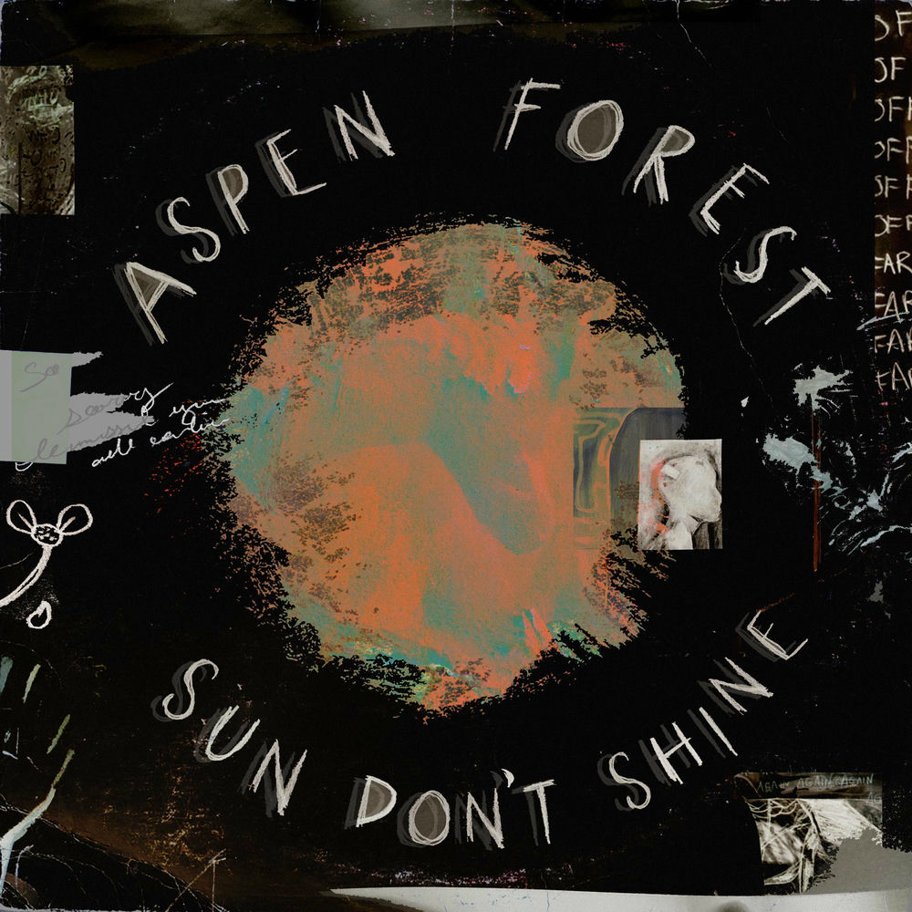 Photo de l'artiste Aspen Forest