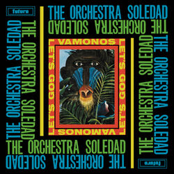 Picture of The Orchestra Soledad